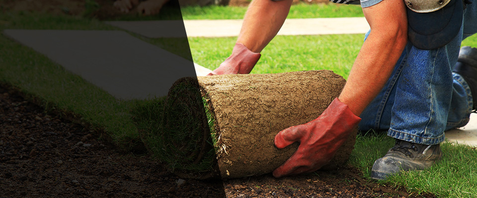 Sterling Landscapers